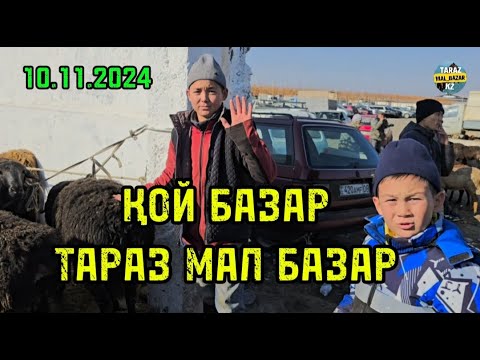 Видео: 10.11.2024 ҚОЙ БАЗАР / МАЛ БАЗАР ТАРАЗ