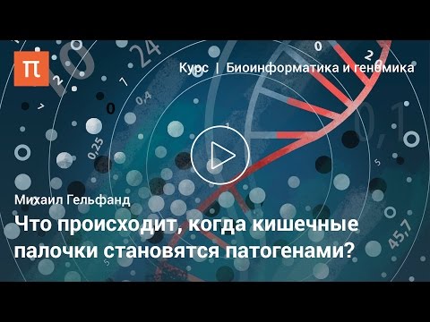 Видео: Кишечная палочка — Михаил Гельфанд