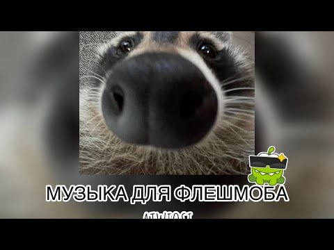 Видео: музыка для флешмоба🎀