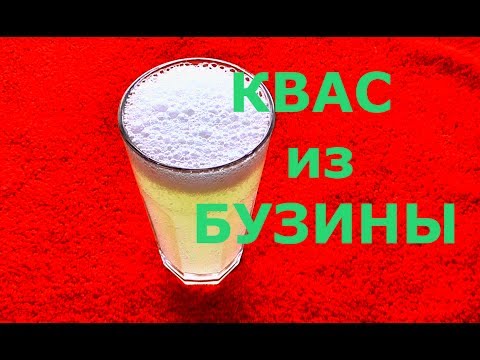 Видео: Квас из бузины. Как приготовить квас из цветков бузины ДОМАШНИЙ РЕЦЕПТ КВАСА ИЗ БУЗИНЫ