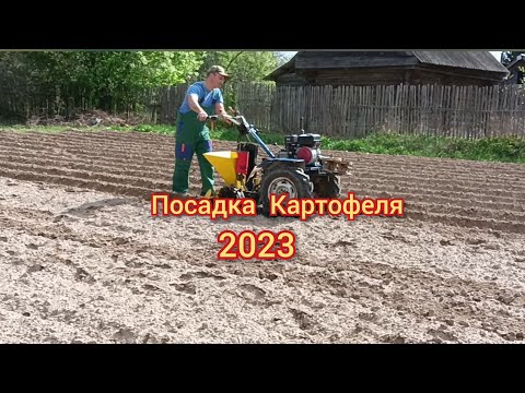 Видео: Посадка картофеля мотоблоком с картофелесажалкой.