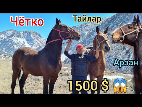 Видео: ӨРТ тайлар БИР ЧЫКТЫ 🔥 ЖЕТ АРЗАН БААРЫ ЛАГЛАНДА