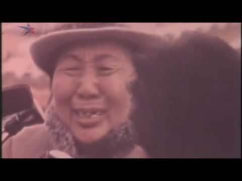 Видео: Хонх хамтлаг - Би Ажилгуй Хүн