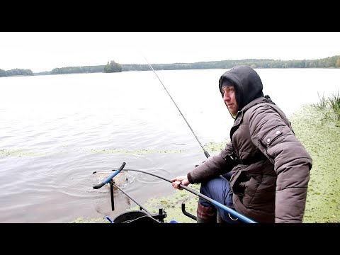 Видео: ЛЕЩ НА ФИДЕР ОСЕНЬЮ! Рыбалка на ФИДЕР 2021! ЛОВЛЯ ЛЕЩА!