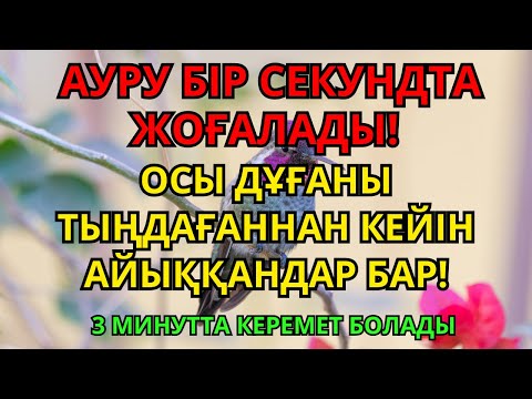 Видео: Пайғамбардың қысқа дұғасы – көзді ашып-жұмғанша ауруың кетіп, саулығың қайта оралады