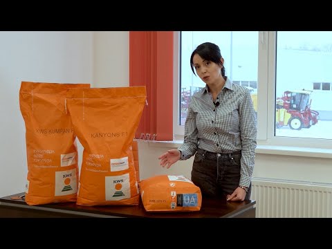 Видео: Ні підробкам! В кадрі – оригінал!