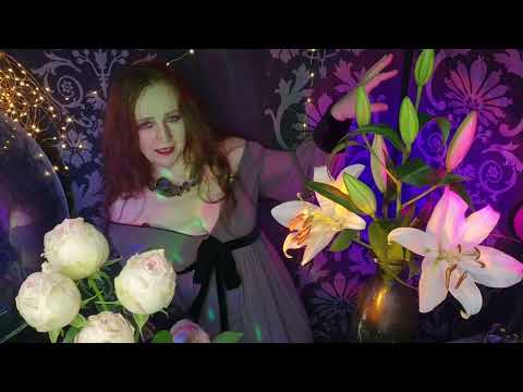 Видео: Внимание в колыбели времени песня