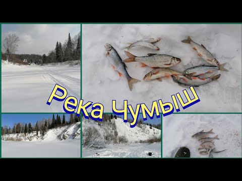 Видео: Рыбалка на Чумыше. Новокузнецкий район.