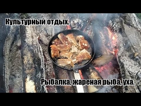 Видео: Отдых и рыбалка в отличной компании.