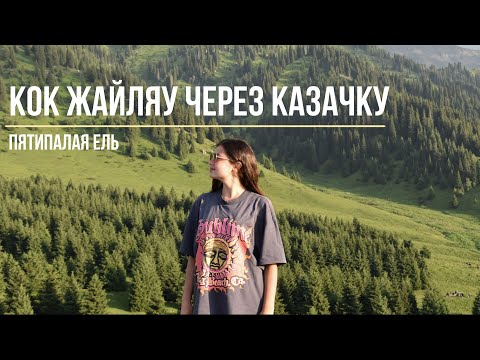 Видео: Кок Жайляу | Казачка | Пятипалая ель