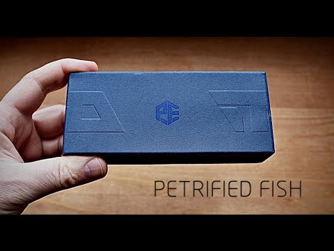 Видео: Petrified Fish MORSE / Это PZDC Рыба за $70❗️