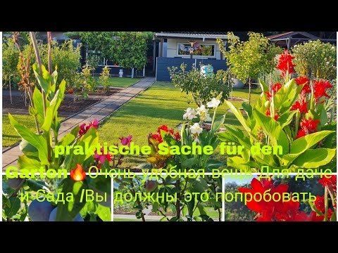 Видео: Vlog 🇩🇪 Наша Дача в Германии 🏕Дачу не узнать/Огурцы Быстро растут без кокого нибудь Удобрения 🥒Обзор