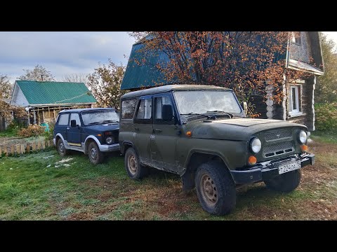 Видео: Жизнь на осенней даче. Третья неделя октября.