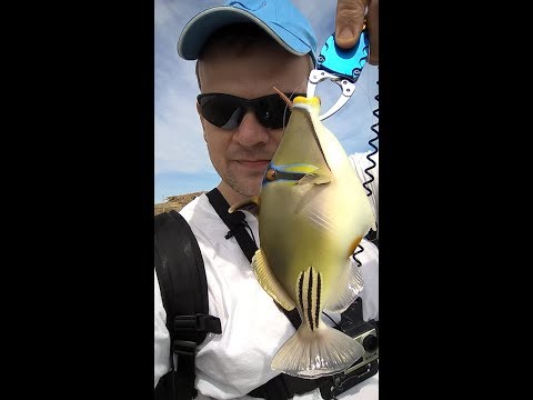 Видео: Рокфишинг в Сафаге