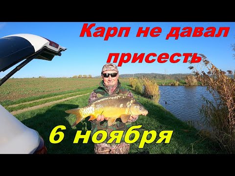 Видео: Карп не давал даже посидеть, рыбалка 6 ноября!