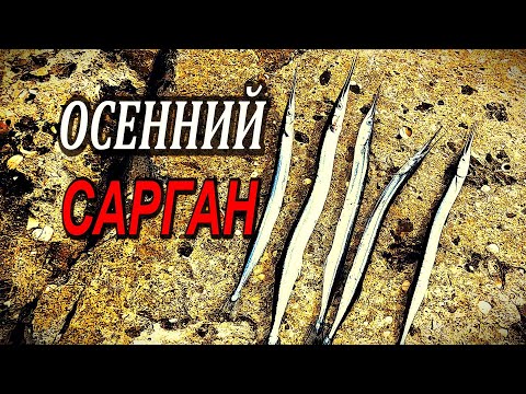 Видео: МОЙ РЕКОРД РАСТЕТ по Ловли Саргана! Рыбалка на Черном Море