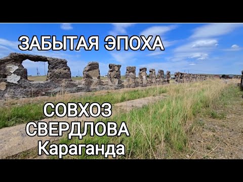 Видео: КОКПЕКТЫ КАРАГАНДЫ (С/х СВЕРДЛОВА) #караганда