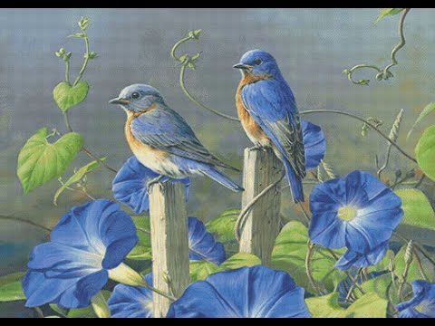 Видео: ВЫШИВКА КРЕСТИКОМ/"ПАРА ПТИЦ" /4500 КРЕСТИКОВ ВЫШИТЫ/АННА АНАНЧИК