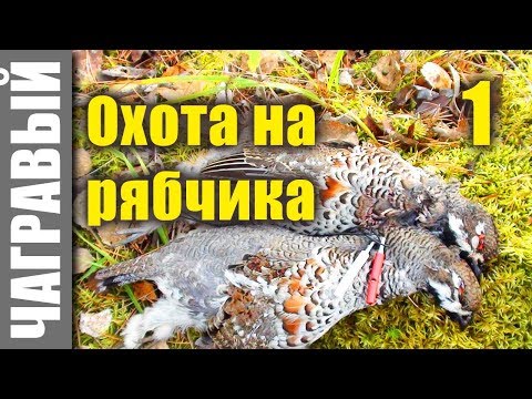 Видео: Секреты охоты на рябчика - 1. Secrets of hunting grouse from Russia - 1.