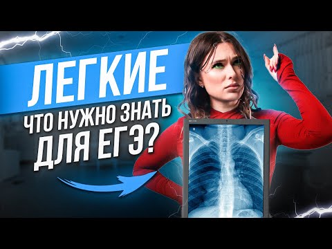 Видео: ОРГАНЫ ЧЕЛОВЕКА В ЕГЭ ПО БИОЛОГИИ: ЛЁГКИЕ / Женя Биологичка /  ЕГЭLAND
