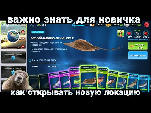 Видео: ВАЖНО ЗНАТЬ ! Как открыть НОВУЮ ЛОКАЦИЮ , Лучше всего /Fishing Clash: Реальная рыбалка