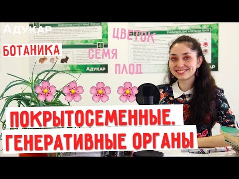 Видео: Покрытосеменные. Генеративные органы растений. Цветок, семя, плод | Биология ЦТ, ЕГЭ