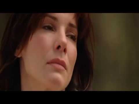 Видео: Божья коровка   Гранитный камушек