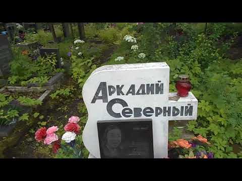 Видео: Аркадий Северный