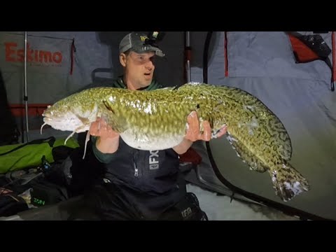 Видео: Мой путь к побитию мирового рекорда по ловле налима. Финальный эпизод. Ледовый кемпинг, YouTube W...