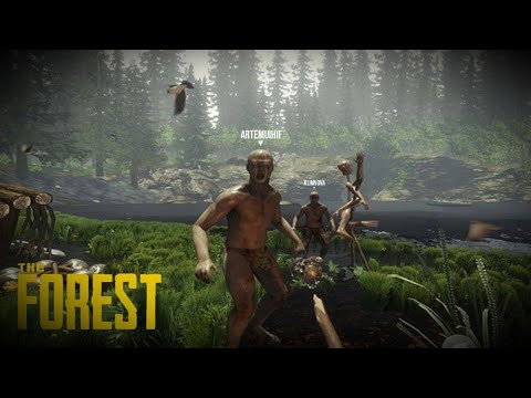 Видео: Бабуини в поисках дома и пропитания (The forest)#1