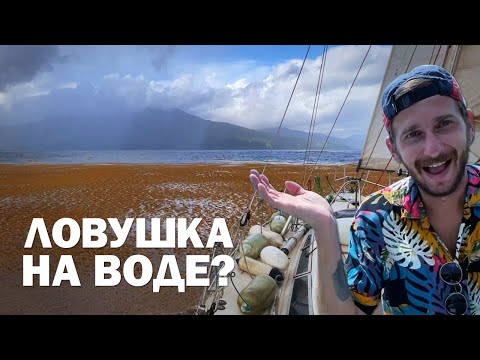 Видео: Сент-Винсент и Гренадины. Яхтинг на Карибах