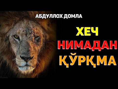 Видео: Ҳеч нарсадан қўрқма... ~Абдуллох Домла ~Abdulloh Domla 2025 |Ilmnuri #ilmnuri #abdullohdomla #namoz 