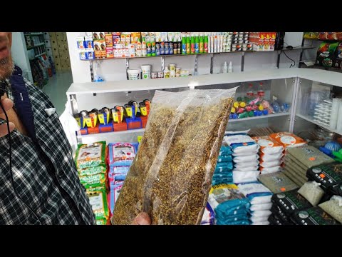 Видео: UZZOO-қушлар учун озуқалар! Кутилган янгилик!
