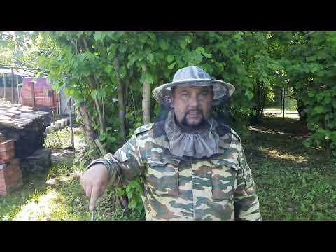 Видео: Шок!!!Борьба с Клёщем!!!Не Расслабляйтесь!!!