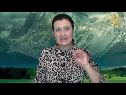 Видео: Повышение вибраций. День 1. Вредоносные программы