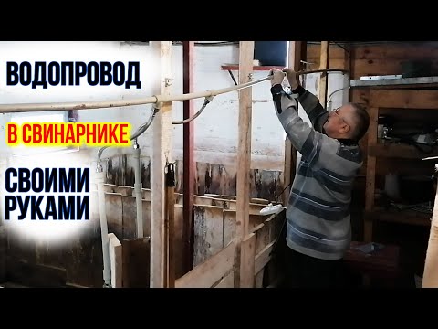 Видео: МОНТАЖ ПОИЛОК ДЛЯ СВИНЕЙ | ПЕРЕДЕЛКА СВИНАРНИКА часть 1