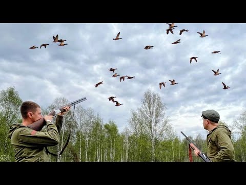 Видео: Такое Бывает один раз в Жизни. Настреляли уток и съели Их.