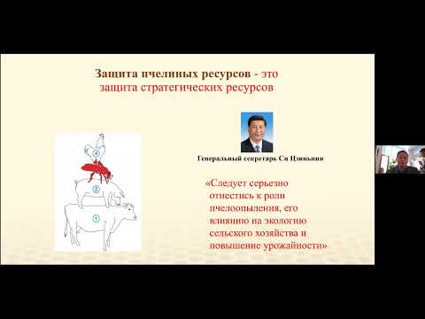 Видео: Особенности пчеловодства Китая – мифы и реальность. Рынок мёда КНР.