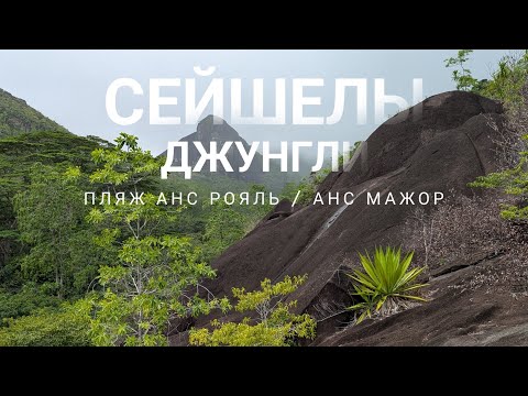 Видео: Сейшелы - пляжи Анс Рояль и Анс Мажор. Хайкинг по джунглям. Гипермаркет на Сейшелах