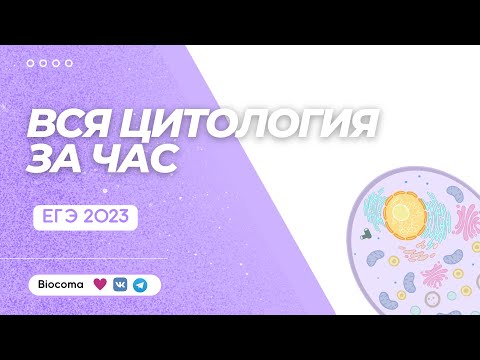 Видео: ВСЯ ЦИТОЛОГИЯ ЗА ЧАС | Биология ЕГЭ от Biocoma