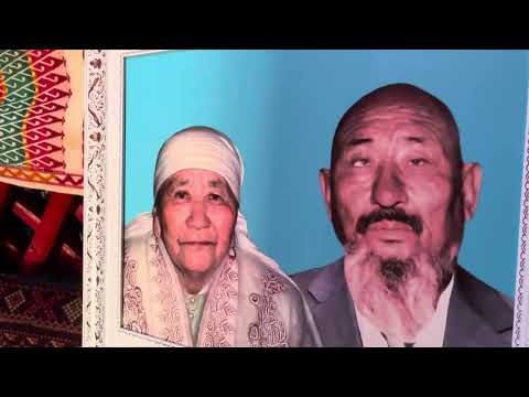 Видео: Жыңғылдыдағы Шоңай Аманбек Нұрасылұлының ағаш үйі туралы. 11.08.2025 ж