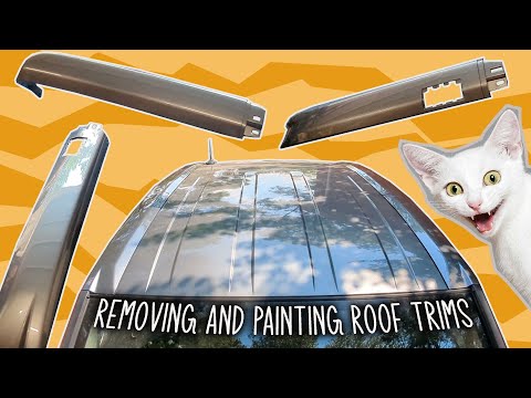 Видео: Снятие и покраска обшивки крыши Honda Element