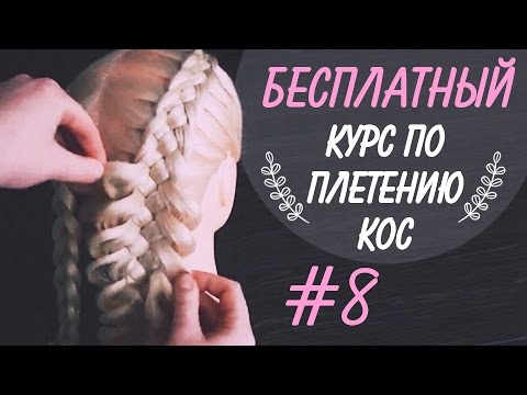 Видео: 🌿 🌸  КУРС "КОСЫ С НУЛЯ" !!! 🌸 🌿  УРОК 8 🌸 🌿  Коса из 5 прядей, как начать?  🌸 🌿  LOZNITSA