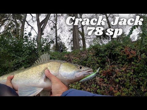 Видео: Этот Воблер ловит Всё! - Crack Jack 78 SP-MR
