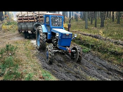 Видео: ЛТЗ Т-40АМ Работа в лесу Перевозка дров с телегой