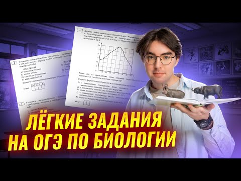 Видео: Легкие баллы ОГЭ биология 2025 | Самые легкие задания | Умскул