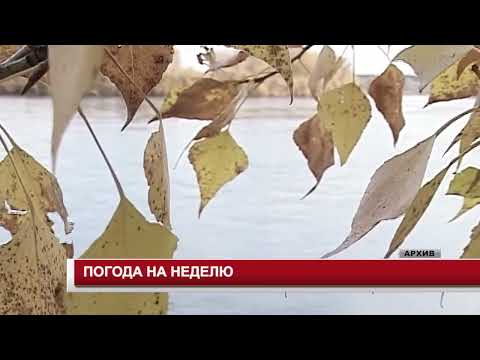 Видео: ПОГОДА НА НЕДЕЛЮ