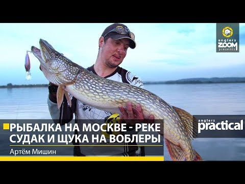 Видео: Рыбалка на Москве - реке. Судак и щука на воблеры. Артем Мишин. Anglers Practical