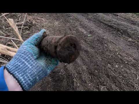 Видео: КОП МЕТАЛЛА 09.04.2025