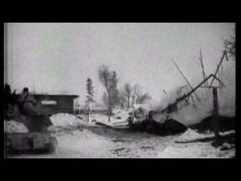 Видео: Лавриненко